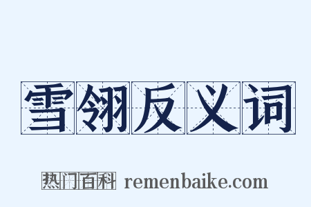 雪翎反义词是什么意思的图片